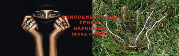 гашиш Медногорск