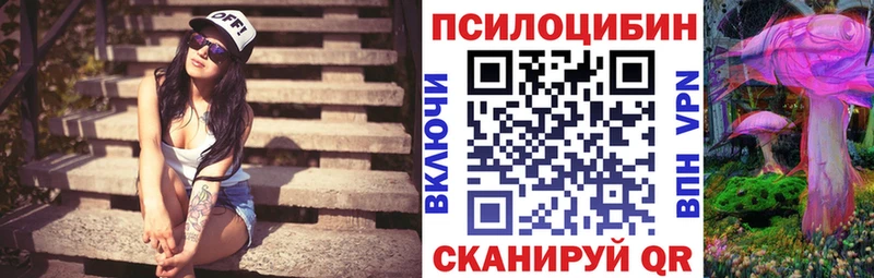 наркотики  Суворов  блэк спрут ссылка  Псилоцибиновые грибы Psilocybine cubensis 